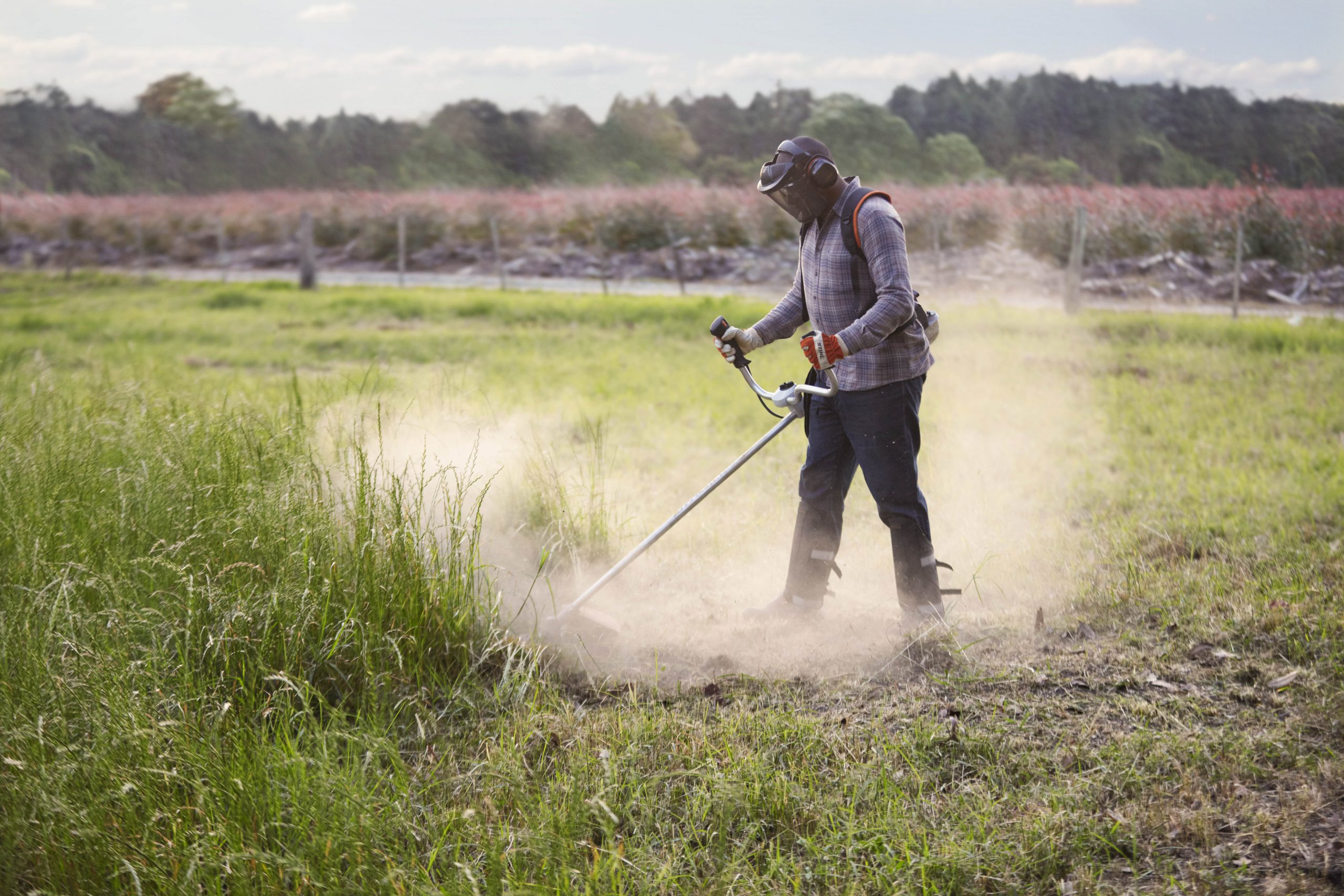 A hora de aproveitar a oferta das Roçadeiras STIHL está acabando